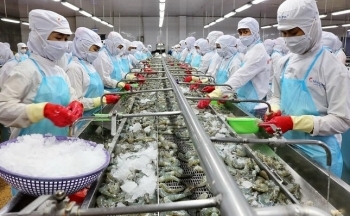 Kỷ lục xuất khẩu 11 tỷ USD, doanh nghiệp thủy sản ‘hái ra tiền’ thế nào?