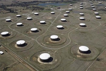 Giá xăng dầu hôm nay 25/1: Dầu thô ổn định