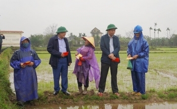 Lãnh đạo tỉnh Quảng Trị ra tận ruộng lì xì cho nông dân