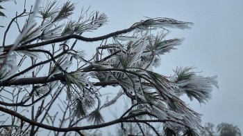 Thời tiết ngày 26-27/1: Không khí lạnh lan rộng, Yên Bái xuất hiện băng giá