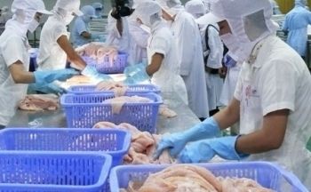 Một năm thắng lợi của ngành Thủy sản