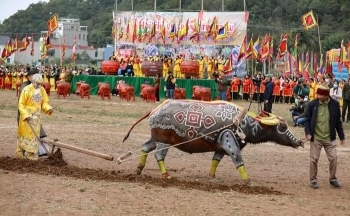 Khai hội Tịch điền Đọi Sơn, tái hiện cảnh nhà Vua xuống đồng cày ruộng