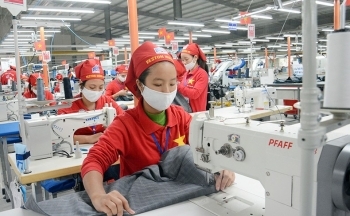 Tận dụng cơ hội và dư địa từ EVFTA