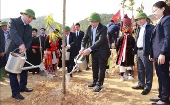 Chủ tịch Quốc hội phát động thi đua và Tết trồng cây tại Tuyên Quang
