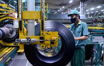 Chính phủ ban hành Chương trình điều tra thống kê quốc gia