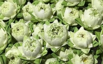 Thị trường đồ lễ ngày Rằm tháng Giêng: Đa dạng, sức mua lớn
