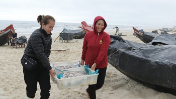 Ngư dân Quảng Bình bội thu cá khoai ngay những ngày đầu năm mới