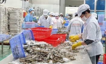 Cơ hội cho doanh nghiệp Việt Nam thúc đẩy xuất khẩu sang Nga