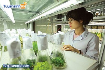 Nghị quyết số 36-NQ/TW: Ứng dụng công nghệ sinh học trong công nghiệp chế biến