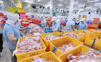 Số đông doanh nghiệp trong nước đang gặp rất nhiều khó khăn