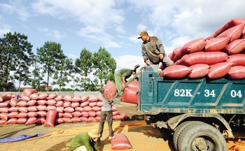 EVFTA tạo xung lực mới cho thương mại và đầu tư Việt Nam – EU