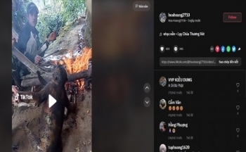 Đề nghị xử lý cá nhân nướng cháy cá thể khỉ và khoe trên mạng xã hội