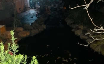 Quảng Ninh: Thương tâm 2 cháu bé tử vong do đuối nước dưới hồ cá cảnh