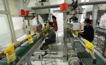 Thị trường nông sản tuần qua: Xuất khẩu gạo của Việt Nam giảm