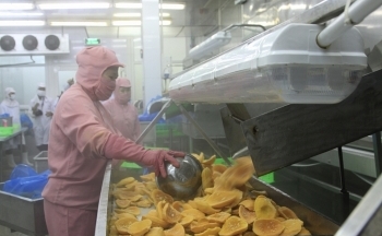 Làm gì để giữ vững thị trường xuất khẩu nông sản sang Trung Quốc?