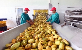 Thị trường Trung Quốc yêu cầu khắt khe với an toàn vệ sinh thực phẩm