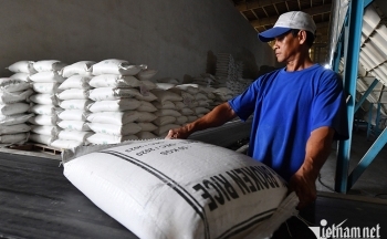 Gạo Việt dần vắng bóng tại thị trường Trung Quốc