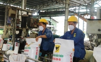 Thị trường phân bón trong nước năm 2023: Những tác động đa chiều