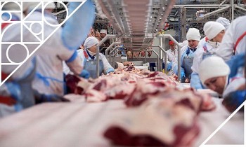 Miratorg: Nhà sản xuất thực phẩm uy tín hàng đầu từ Nga mở rộng thị trường tại Việt Nam