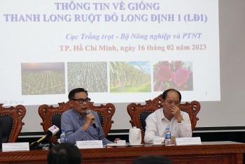Cục trồng trọt thông tin về bản quyền thanh long ruột đỏ Long Định (LĐ1)