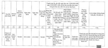 Tiền mặt gấp 8,23 lần lãi trái phiếu, nhưng sao TDC không thể thanh toán được toàn bộ lãi?