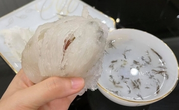 Những thách thức xuất khẩu tổ yến chính ngạch vào Trung Quốc