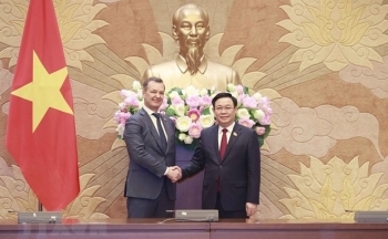 Đề nghị Việt Nam - Nga đẩy mạnh hợp tác về dầu khí và năng lượng