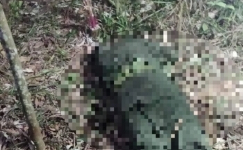 Điều tra vụ chiến sĩ cảnh sát tử vong sau 10 ngày nhập ngũ