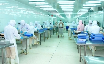 Xuất khẩu cá tra sang thị trường Mỹ giảm hơn 80%