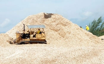 Sản xuất có kiểm soát các phụ phẩm gỗ xuất khẩu