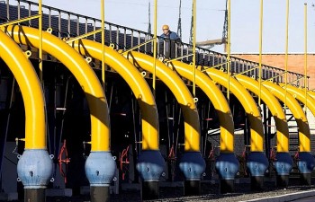 Giá gas hôm nay ngày 5/1/2024: Đảo chiều giảm, diễn biến ra sao?