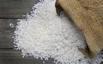 Gạo Việt Nam chiếm 1/5 lượng gạo tiêu thụ ở Philippines