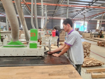 Tái sử dụng phế liệu trong chế biến gỗ: Giúp doanh nghiệp tăng lợi nhuận