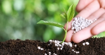 Xuất khẩu phân bón tháng 1/2023 giảm 62,78% kim ngạch so với cùng kỳ