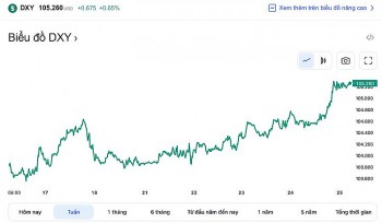 Tỷ giá USD hôm nay 25/2: Đồng Đô la tăng mạnh, đạt mức cao nhất trong 7 tuần liên tiếp