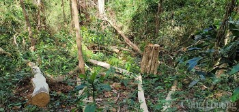 Việt Nam nhận được khoản thanh toán 51,5 triệu USD từ Quỹ FCPE