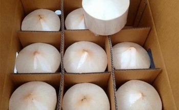 Tiềm năng lớn của nông sản Việt Nam: Xuất khẩu dừa và các sản phẩm từ dừa