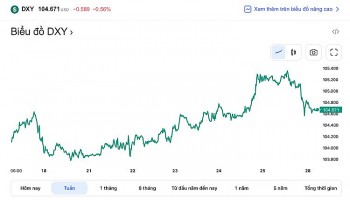 Tỷ giá USD hôm nay 28/2: Đồng đô la trượt giá sau khi tăng mạnh nhưng vẫn giữ xu hướng tăng