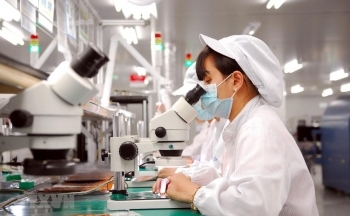 Cả nước có gần 20 nghìn doanh nghiệp thành lập mới trong hai tháng qua