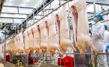 Giá trị xuất khẩu ngành nông nghiệp 2 tháng năm 2023 giảm sâu