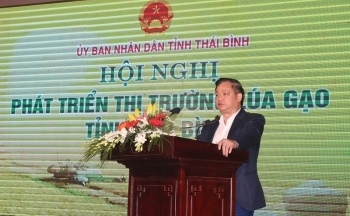 Thái Bình đẩy mạnh xúc tiến thương mại tiêu thụ sản phẩm lúa gạo