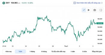 Tỷ giá USD hôm nay 3/3: Đồng đô la quay lại đà tăng ở mức gần 105 điểm
