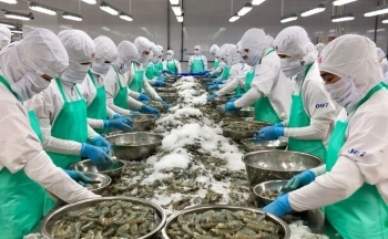 Tận dụng hiệu quả các FTA: “Chìa khóa” cho xuất khẩu hàng hóa năm 2023