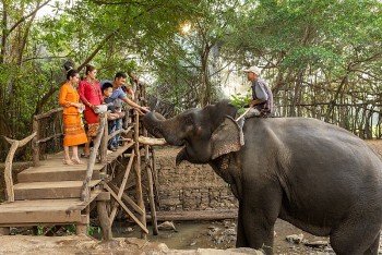 Đắk Lắk truyền thông điệp 