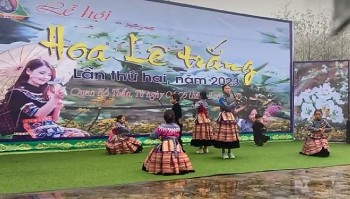 Lào Cai: Khai hội hoa lê trắng biên cương Si Ma Cai