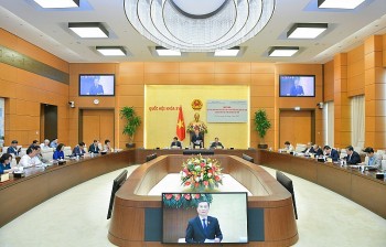 Đánh giá công tác thực thi chính sách pháp luật về phát triển năng lượng 2016-2021