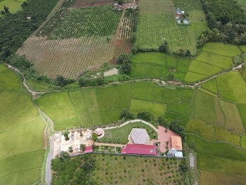 Gia Lai: Tòa án đình chỉ giải quyết vụ án chủ “biệt phủ” trái phép kiện Chủ tịch TP.Pleiku