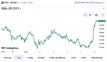 Tỷ giá USD hôm nay 8/3: Đồng Đôla tăng mạnh trước tín hiệu Fed có thể tăng lãi suất thời gian tới