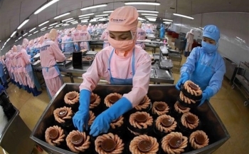 Tận dụng lợi thế để xuất khẩu tôm đạt mục tiêu năm 2023