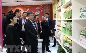 Doanh nghiệp Việt Nam và Singapore kết nối giao thương